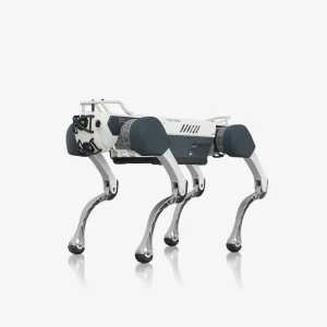 X30 Pro I inMotion Rhino